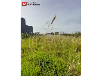 HERMOSO LOTE EN VENTA - COLONIA ENSAYO