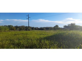 SE VENDE GRAN TERRENO  DE 17.500 M2, SOBRE RUTA 12