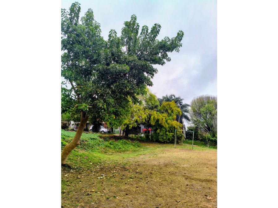 Vendo gran terreno de 800 m2