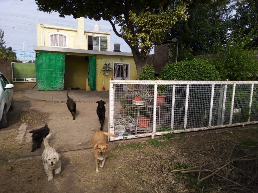 OPORTUNIDAD VENDO CASA CON DPTO ZONA UNICA
