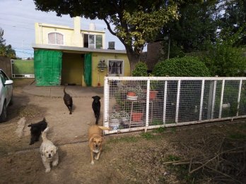 OPORTUNIDAD VENDO CASA CON DPTO ZONA UNICA