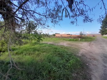VENDO TERRENO DE 2500 M2  ZONA ZANNI Y AV.JORGE NEWBERY