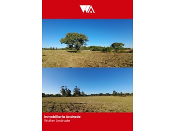 Se vende 4.7 hectáreas zona sur, ingreso a Paraná