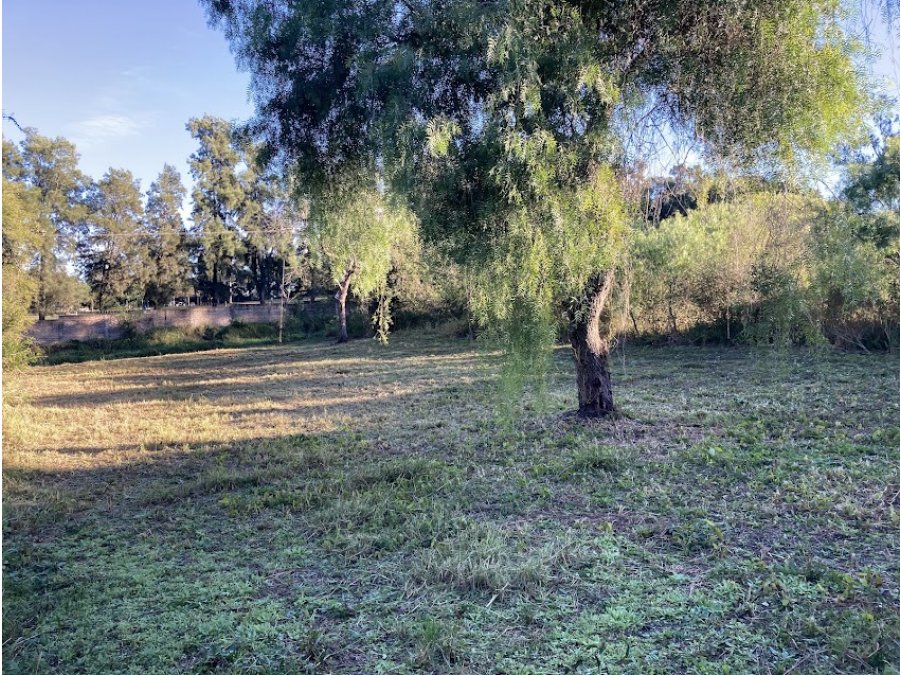VENDO TERRENO ZONA GOLF