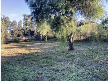 VENDO TERRENO ZONA GOLF