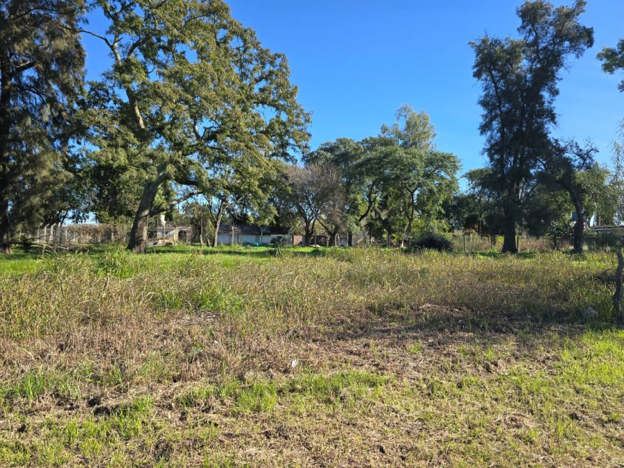 Se vende unico lote en zona "El molino" Sauce Montrull