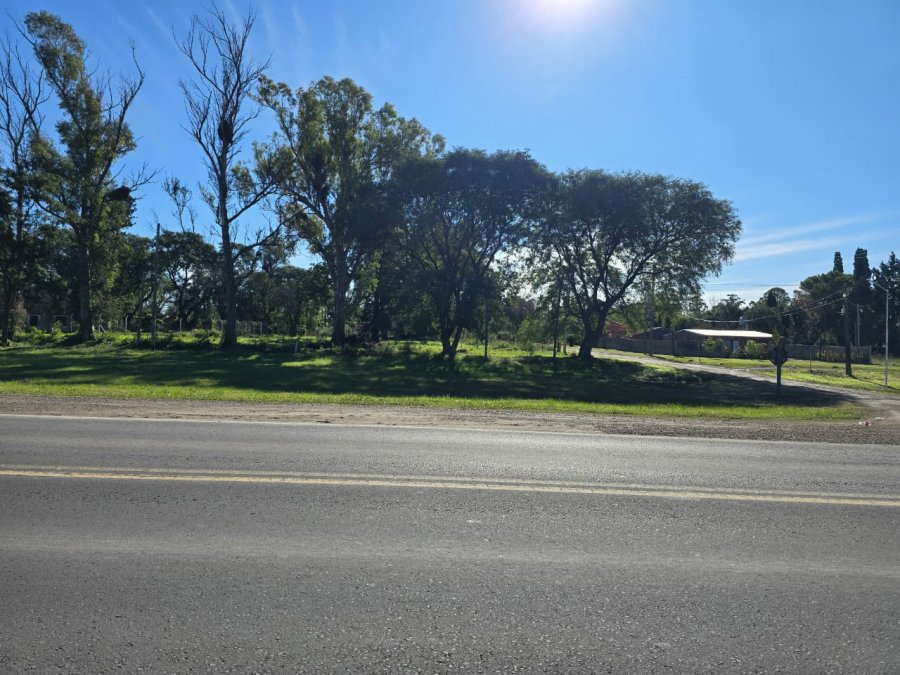 Se vende unico lote en zona "El molino" Sauce Montrull
