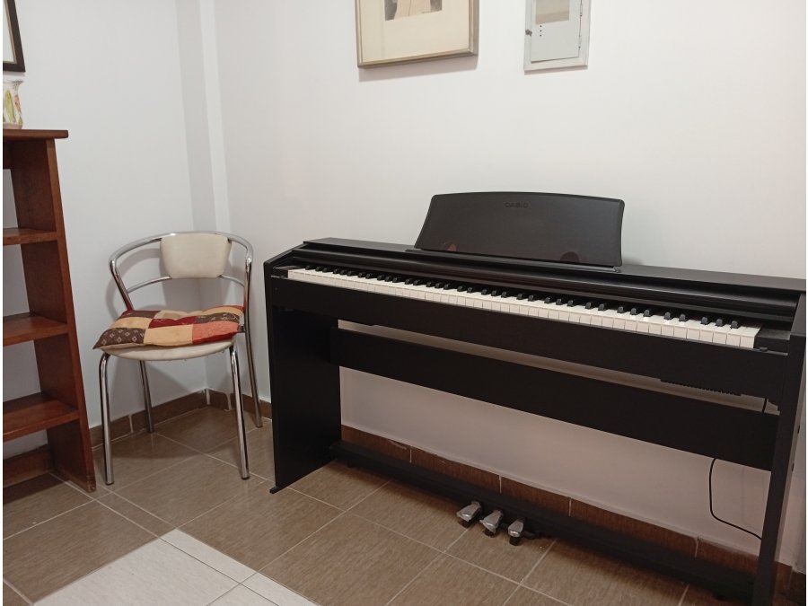 Casio Privia px 770