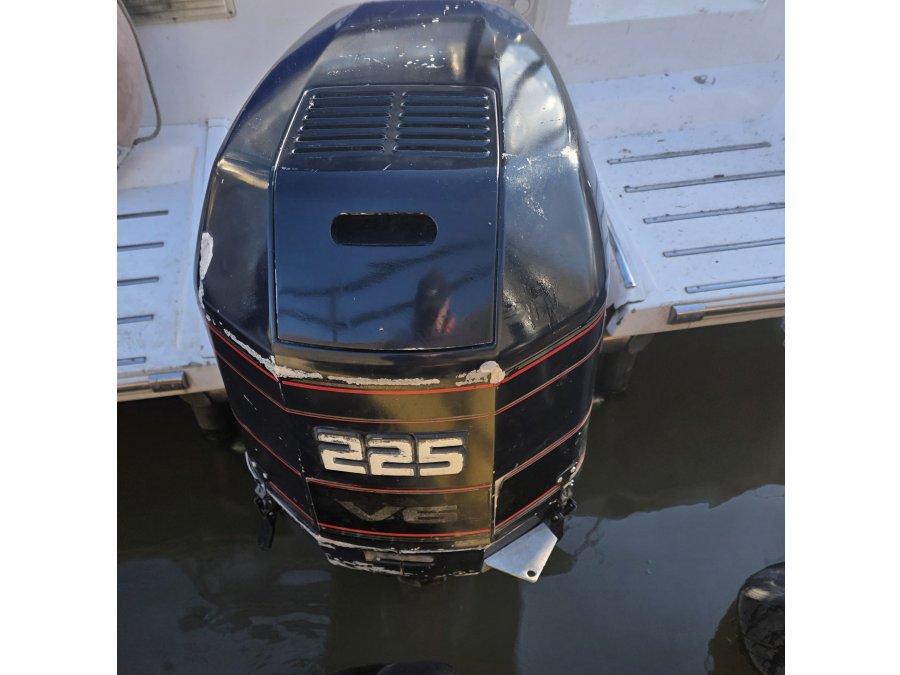 Oportunidad Evinrude 225 2T