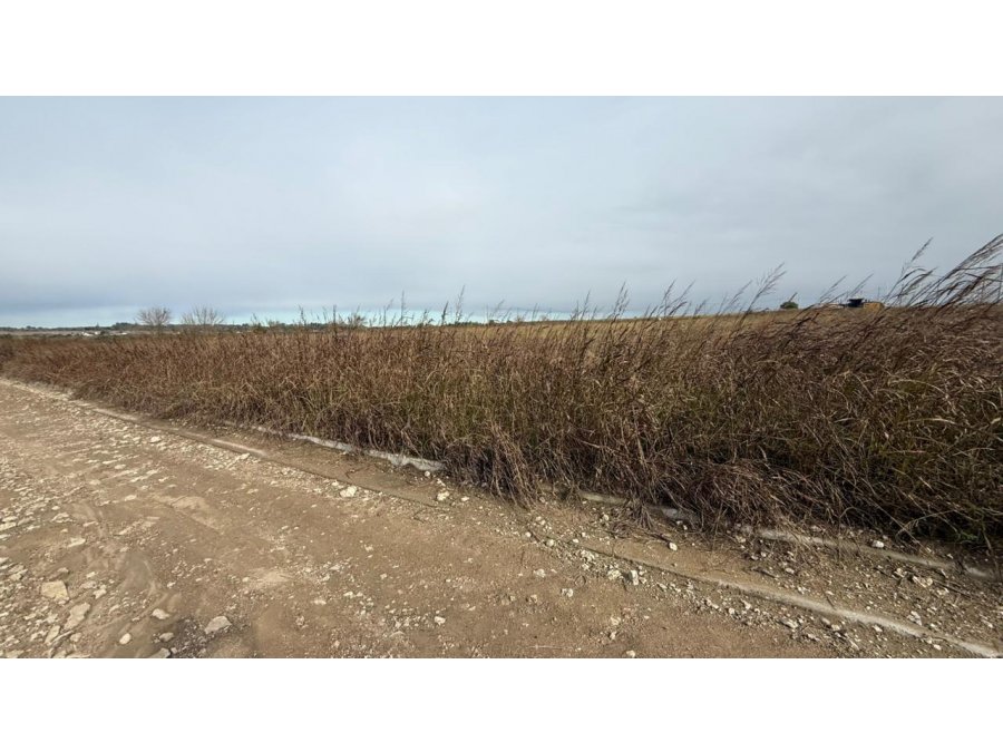 OPORTUNIDAD! TERRENO EN ORO VERDE EL TRIANGULAR, 316 M2