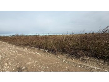 OPORTUNIDAD! TERRENO EN ORO VERDE EL TRIANGULAR, 316 M2