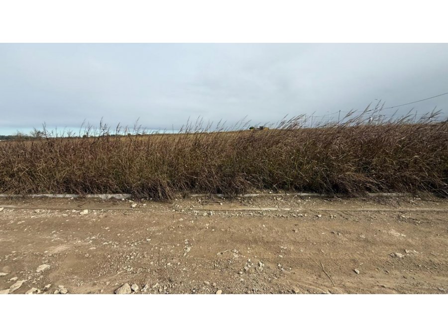 OPORTUNIDAD! TERRENO EN ORO VERDE EL TRIANGULAR, 316 M2