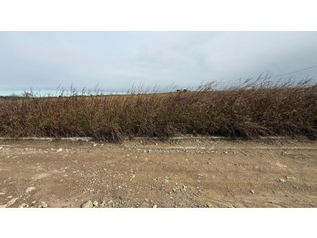 OPORTUNIDAD! TERRENO EN ORO VERDE EL TRIANGULAR, 316 M2
