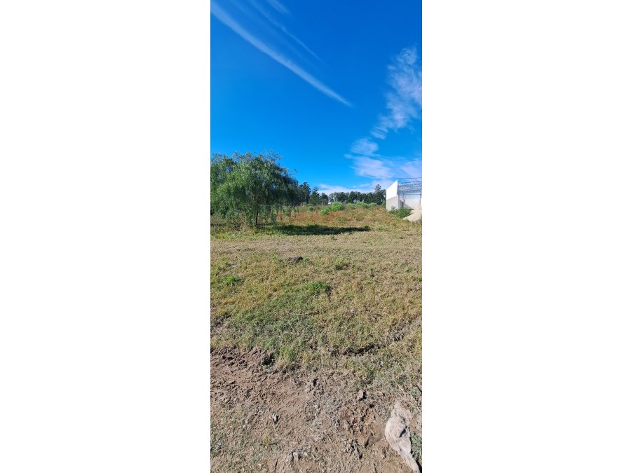 Oportunidad Venta 2 lotes de 500m2 Zona Miguel David