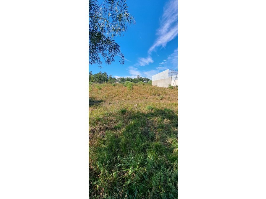 Oportunidad Venta 2 lotes de 500m2 Zona Miguel David