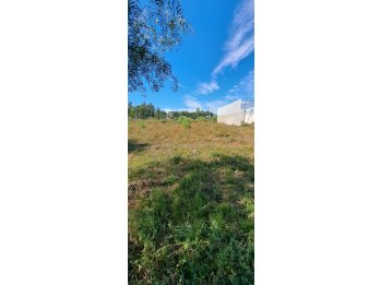 Oportunidad Venta 2 lotes de 500m2 Zona Miguel David