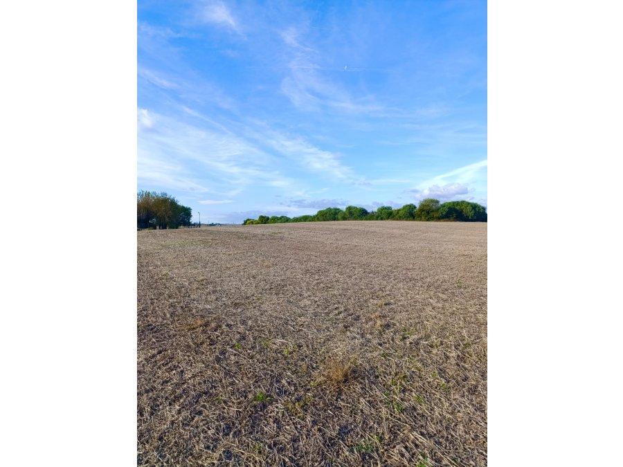 VENTA 11HA CON VISTA AL RIO EN ALDEA BRASILERA