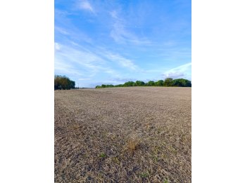 VENTA 11HA CON VISTA AL RIO EN ALDEA BRASILERA