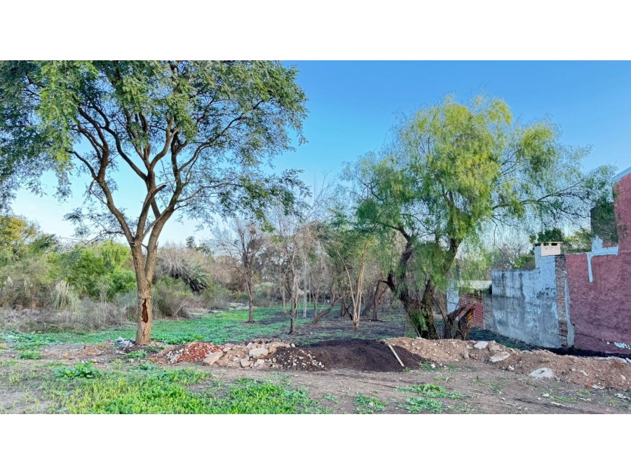 VENTA DE LOTE EN CALLE ECHEVERRIA