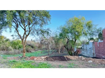VENTA DE LOTE EN CALLE ECHEVERRIA
