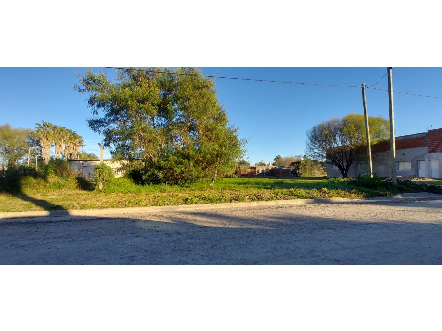 COLONIA AVELLANEDA, TERRENO EN VENTA, EXCELENTE UBICACION