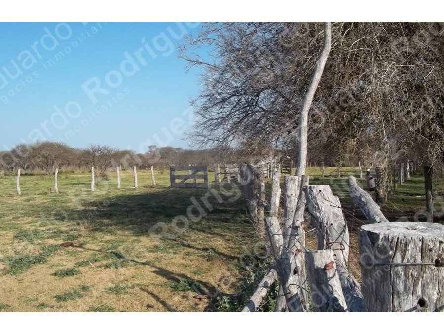 En venta 235has de campo - zona Las Tunas - Entre Ríos