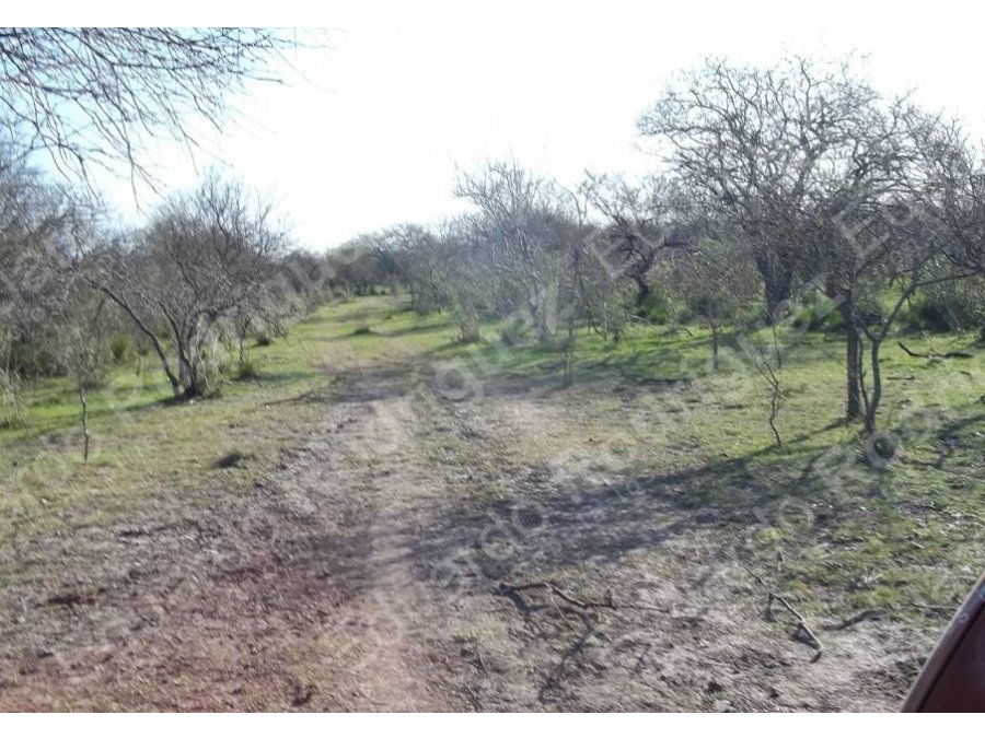En venta 235has de campo - zona Las Tunas - Entre Ríos