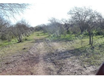 En venta 235has de campo - zona Las Tunas - Entre Ríos