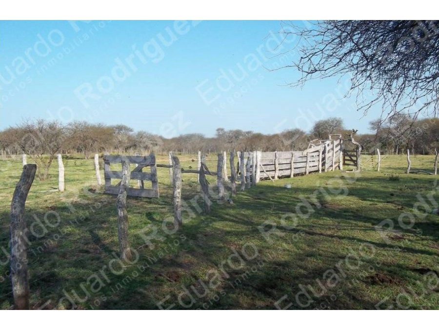 En venta 235has de campo - zona Las Tunas - Entre Ríos