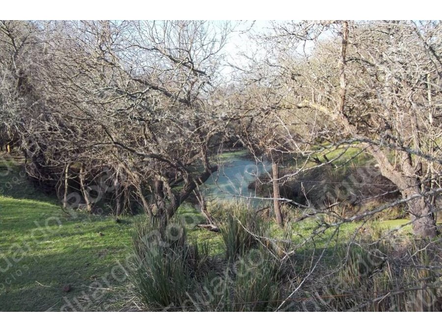 En venta 235has de campo - zona Las Tunas - Entre Ríos