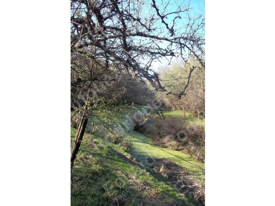 En venta 235has de campo - zona Las Tunas - Entre Ríos
