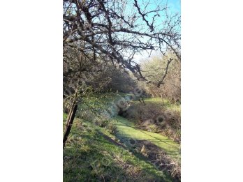 En venta 235has de campo - zona Las Tunas - Entre Ríos