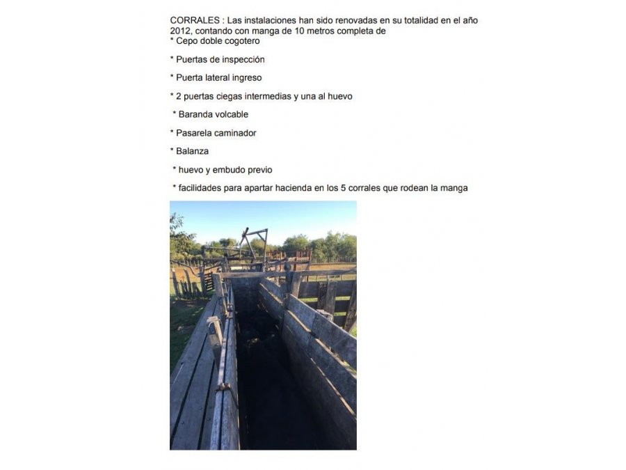 En venta excelente campo mixto – 3500has dpto. La Paz (Entre