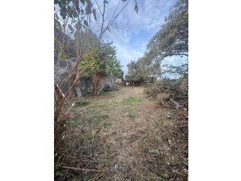 OPORTUNIDAD DE INVERSIÓN – GRAN PROPIEDAD SOBRE CALLE GRELA