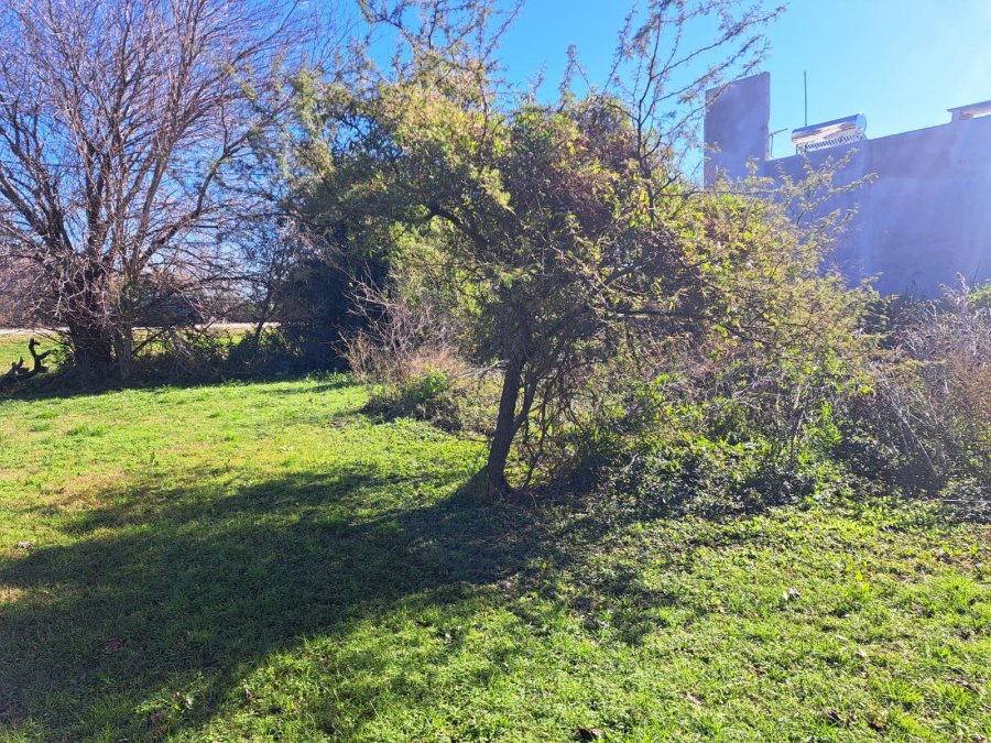 Terreno en Colonia Nueva Villa Urquiza