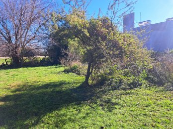 Terreno en Colonia Nueva Villa Urquiza