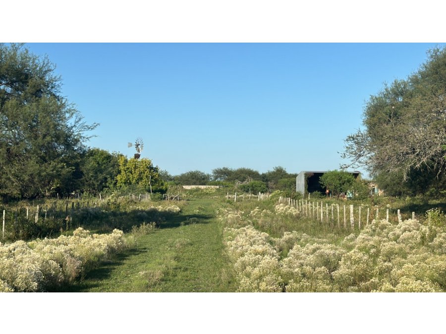 Venda Campo en Bovril.
