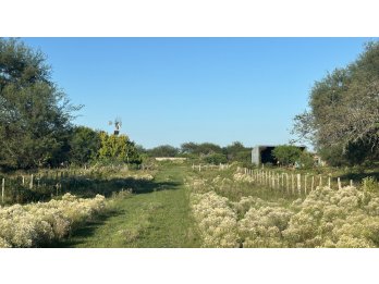 Venda Campo en Bovril.
