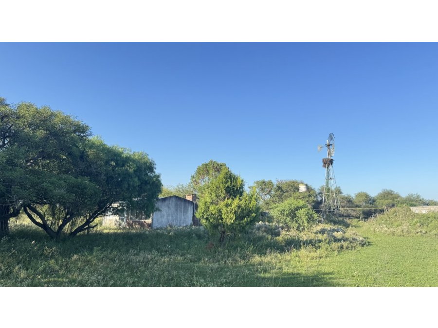 Venda Campo en Bovril.