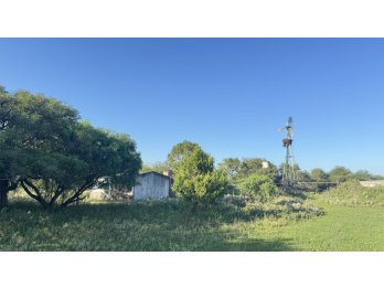 Venda Campo en Bovril.