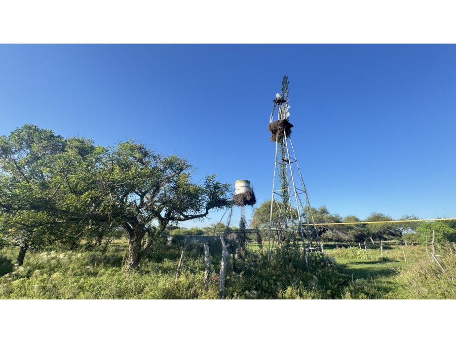 Venda Campo en Bovril.