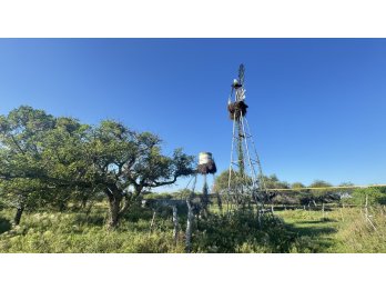 Venda Campo en Bovril.