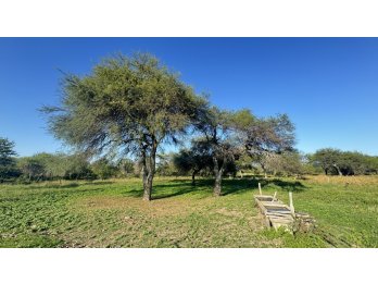 Venda Campo en Bovril.