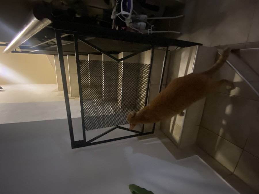 Liquido puerta traba para escalera