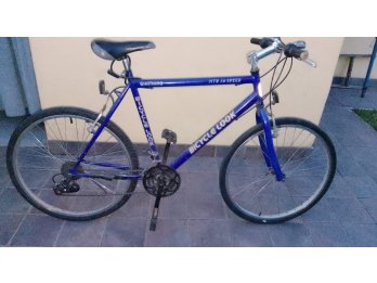 BICICLETA EN MUY BUEN ESTADO