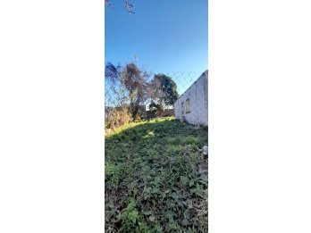 🏡 Terreno en Venta – Excelente Oportunidad