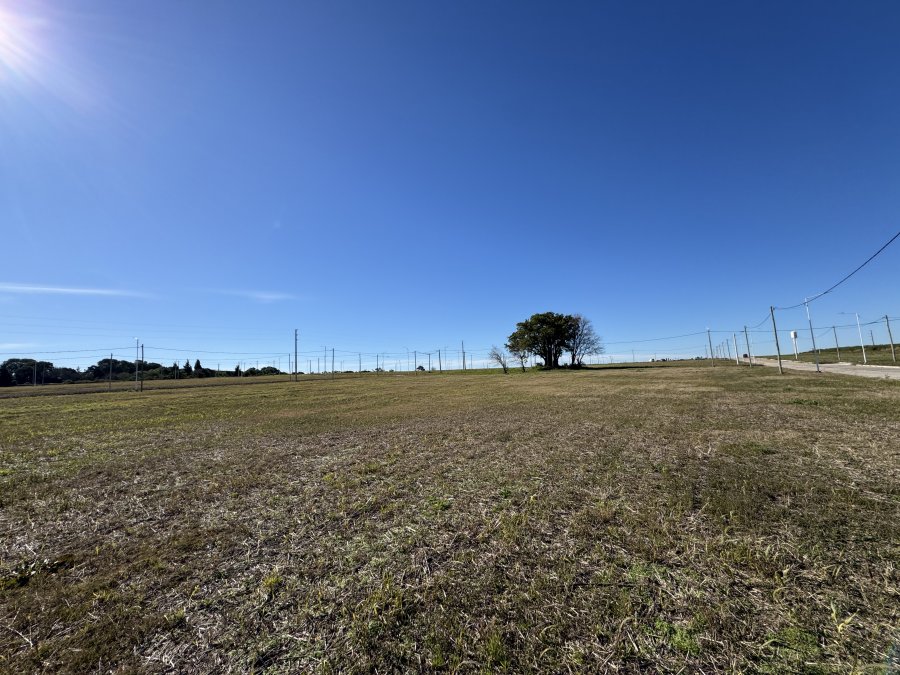 Lote 450 m² | Todos los servicios | Zona Triangular Oro Verd