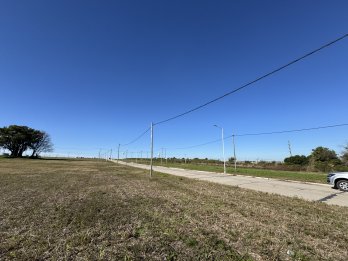 Lote 450 m² | Todos los servicios | Zona Triangular Oro Verd