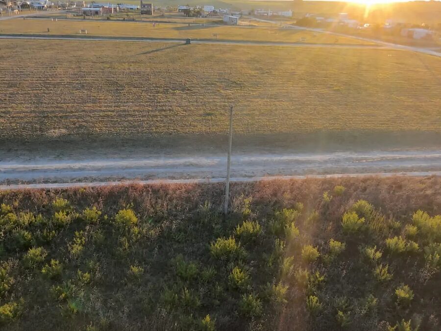 Tu Tierra, Tu Futuro. Loma Hermosa, Aldea Brasilera.