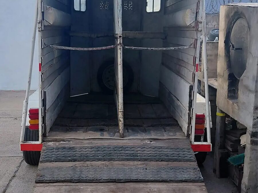 Trailer para caballo